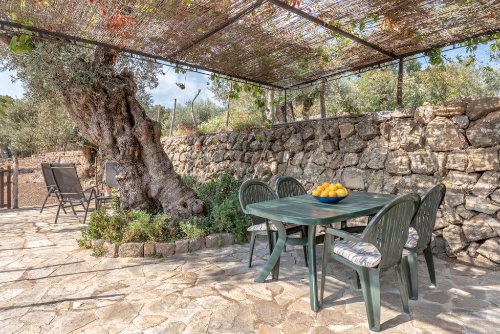 Deià semi-detached sunny country house, near GR221 Esterno foto