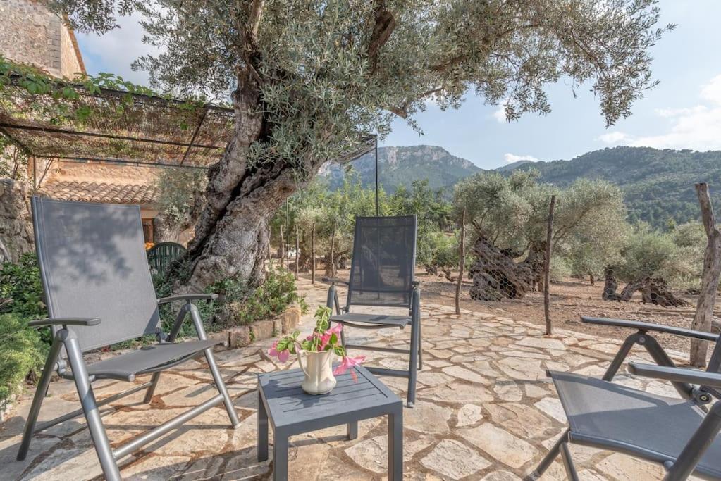 Deià semi-detached sunny country house, near GR221 Esterno foto